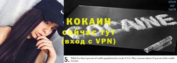 гашик Карпинск