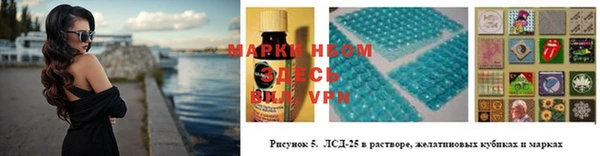 гашик Карпинск