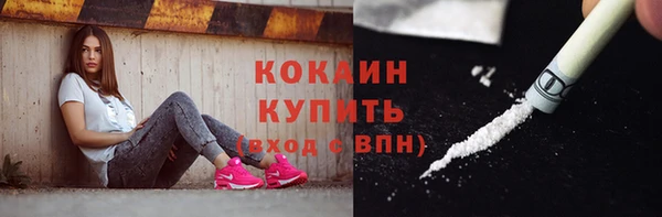 гашик Карпинск