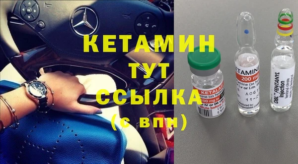 гашик Карпинск