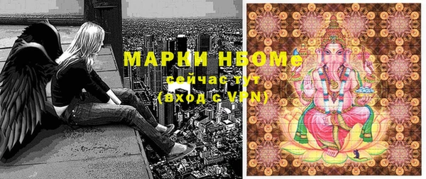 гашик Карпинск